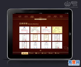 精湛的技術(shù)，優(yōu)秀的服務(wù) 深圳軟件開(kāi)發(fā)公司的卓越之道